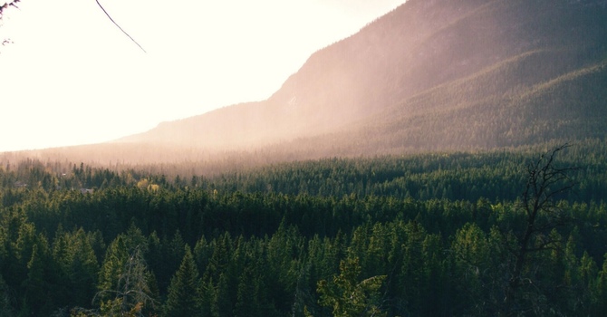 The Benefits of Regular Chiropractic Care image